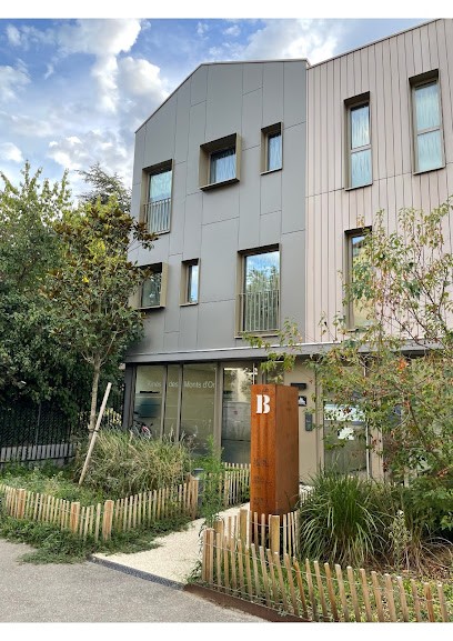 Clotilde GIRARD Psychopraticienne Gestalt, Psychothérapeute à Champagne-au-Mont-d'Or