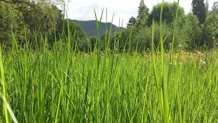 Esther Foeken - Formations Professionnelles Médico-Sociales Avec N° De Déclaration D'activité, Psychothérapeute à Barcelonnette
