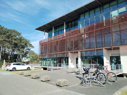 Marie-Aude Carrica Counseling & Orientation, Psychothérapeute à Tarnos