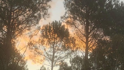 Galy Viviane, Psychologue à Soustons